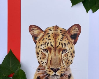 Leopard A4 Print (Recycled Paper)