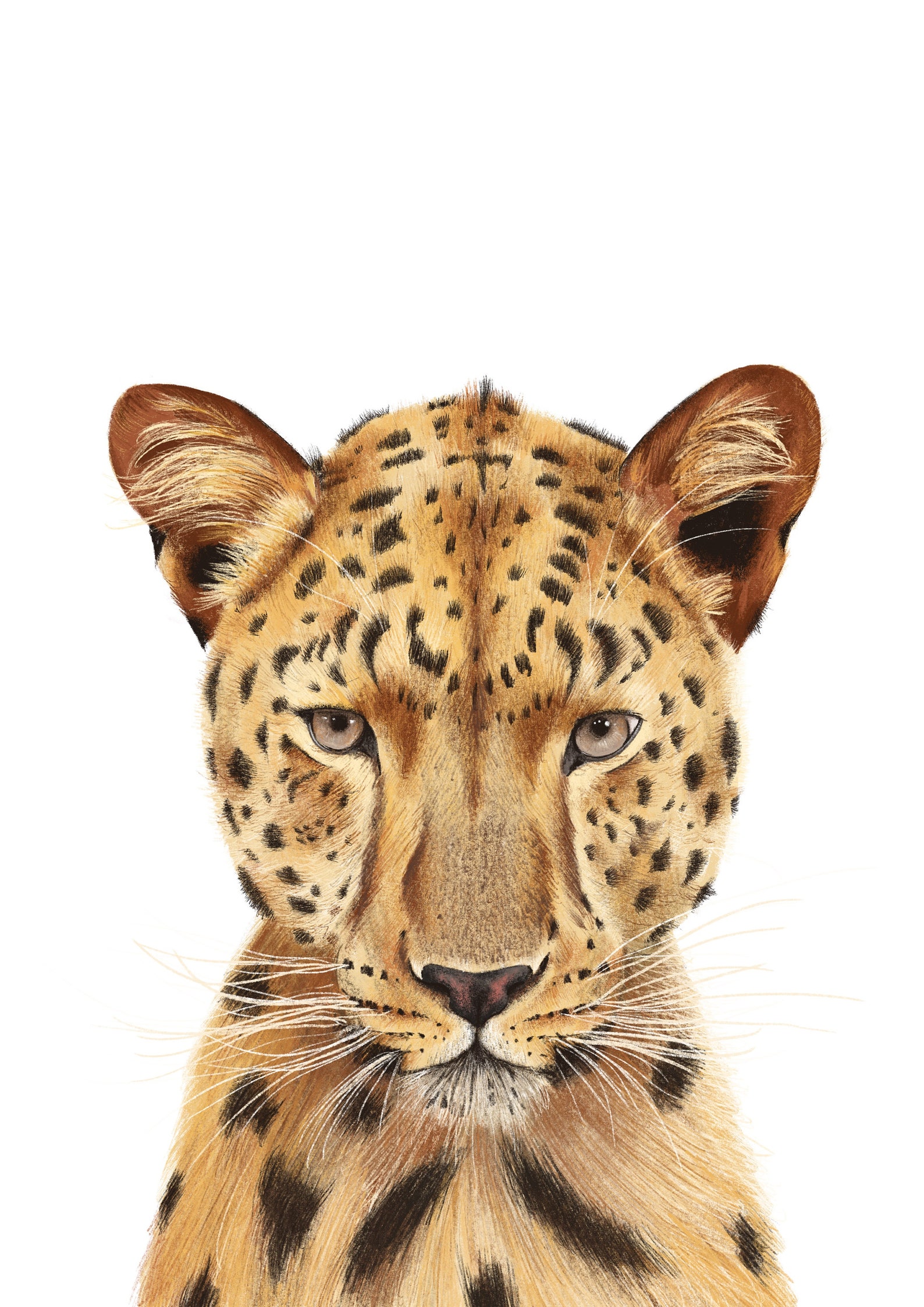 Safari Animal Prints A4 Etsy UK