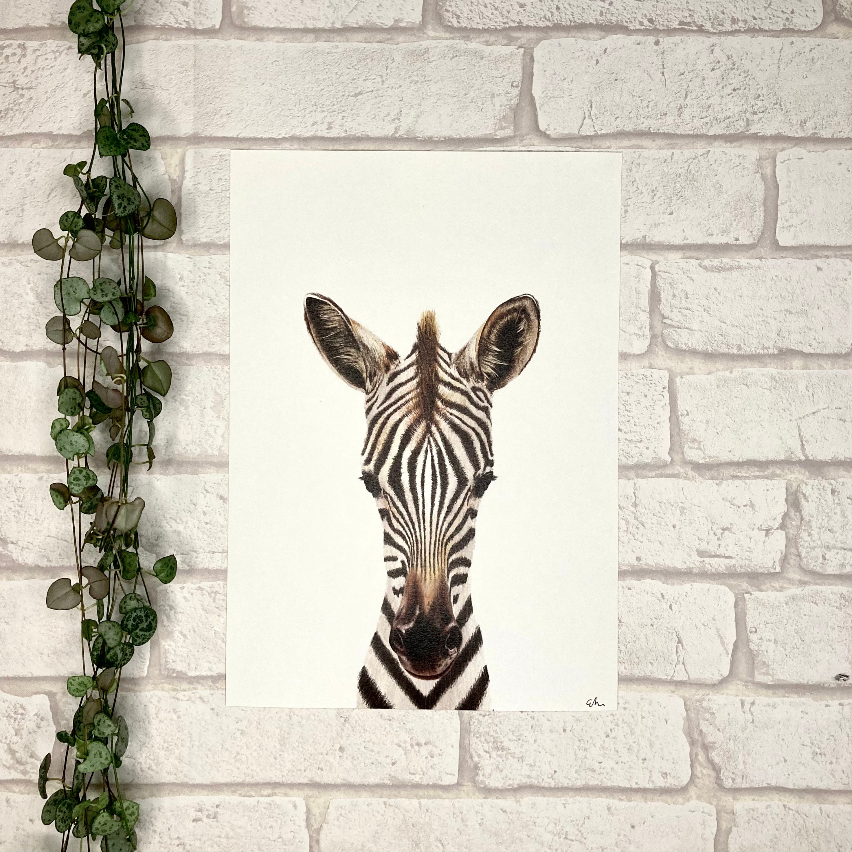 Safari Animal Prints A4 Etsy UK