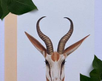 Springbok A4 Print (Recycled Paper)