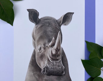 Rhino A4 Print (Recycled Paper)