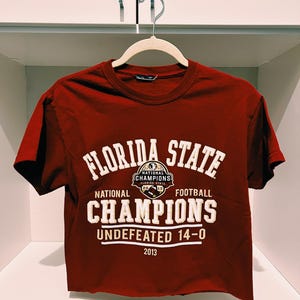 Florida State University crop top