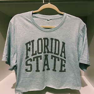 Florida State University crop top