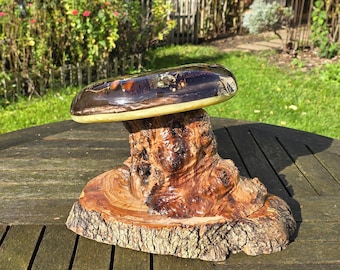 Forest Mushroom Sculpture Resin & Olive Wood – Natural Materials LED Light Handmade Artwork Unique Piece