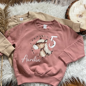 Birthday sweater personalized sweatshirt horse with number gift birthday Christmas with name horse girl pony image 7