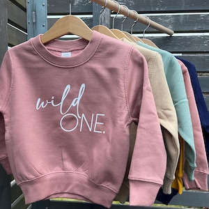 Könnte beinhalten: Ein rosafarbenes Sweatshirt mit dem Text "wild one" in weißen Buchstaben. Das Sweatshirt hängt an einem Holzbügel mit anderen Sweatshirts in verschiedenen Farben.