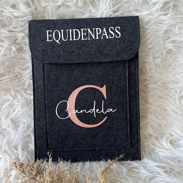 Equidenpass Hülle Pferdepass personalisiert Ausweishülle Filz Filztasche Geschenk Pferd Geburtstag Accessoires