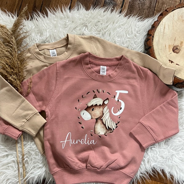 Geburtstagspullover personalisiert Pulli Sweatshirt Pferd mit Zahl Geschenk Geburtstag Weihnachten mit Name Pferdemädchen Pony