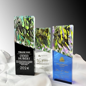 Personalized Glass Award ,Employee, Retirement, Appreciation Gift , Graduation, Plaque, Crystal Award, Trophy, of Month, of Year