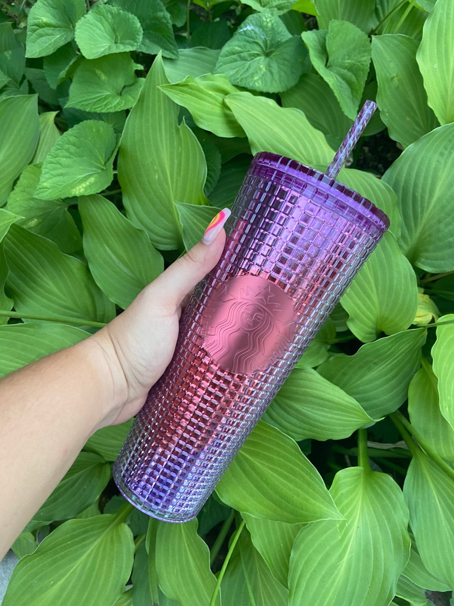 starbucks burgundy grid tumbler