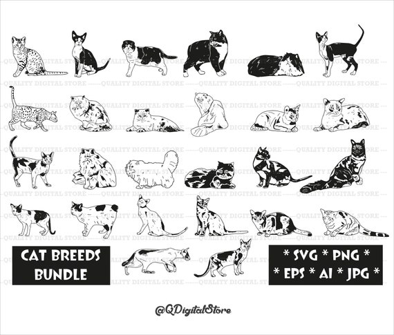 Cat Breed Svg, Cat Svg, Cat Portrait Svg, Cat Clipart, Cat Cricut Files, Instant Download, Cat Cut File, Svg,Png,Jpg,Ai,Eps
