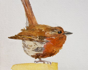 Watercolor Painting - Robin