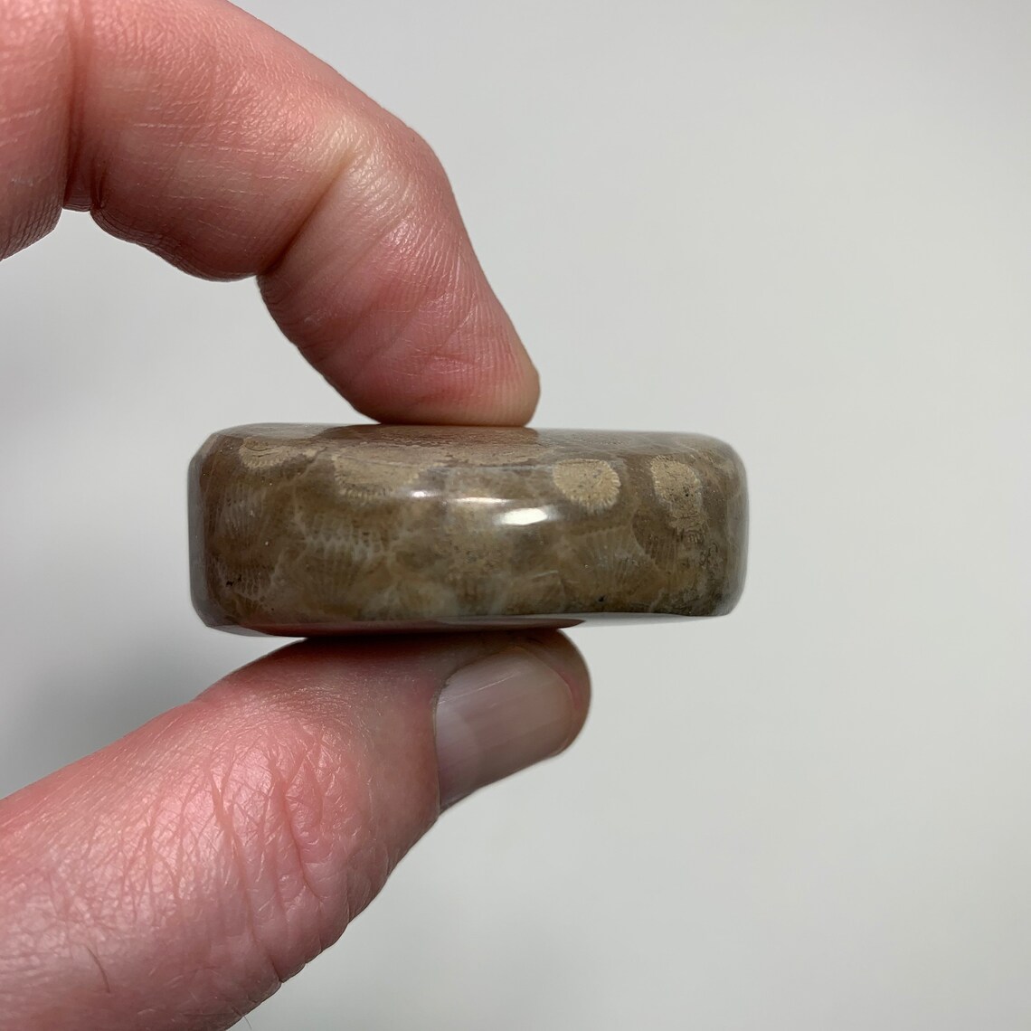 Petoskey Stone Toke stone Joint holder Etsy