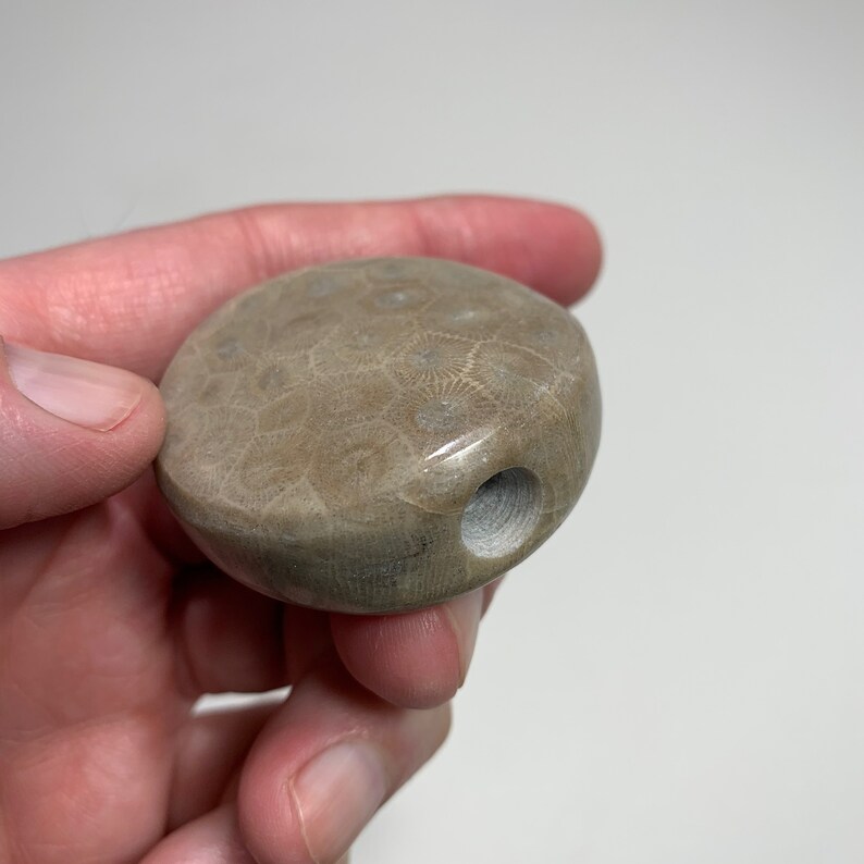Petoskey Stone Toke stone Joint holder Etsy