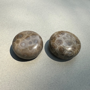 Two Round Petoskey Stone Refrigerator Magnets