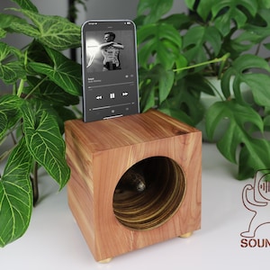 Puede incluir: Un altavoz cúbico de madera con una gran abertura circular y un smartphone que muestra una interfaz de música. El altavoz es de madera marrón claro y tiene el logotipo "SOUNDBOX". El fondo presenta plantas verdes.