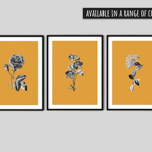 Set de 3 imprimés floraux vintage de style découpage | Dessin au trait noir et blanc avec arrière-plan de couleur bloc