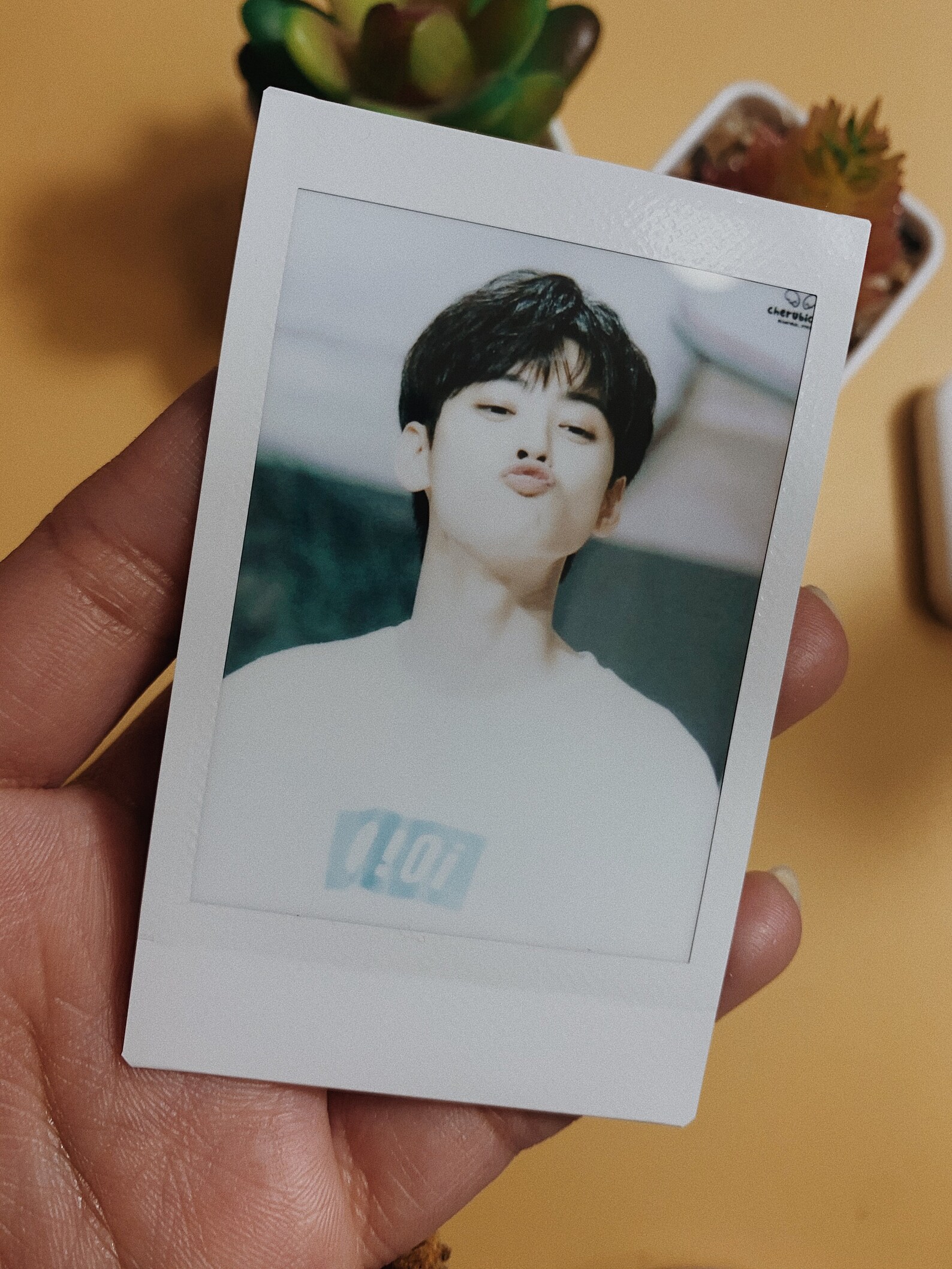 Cha Eun Woo polaroid / cha eun woo photocard / verdadera | Etsy