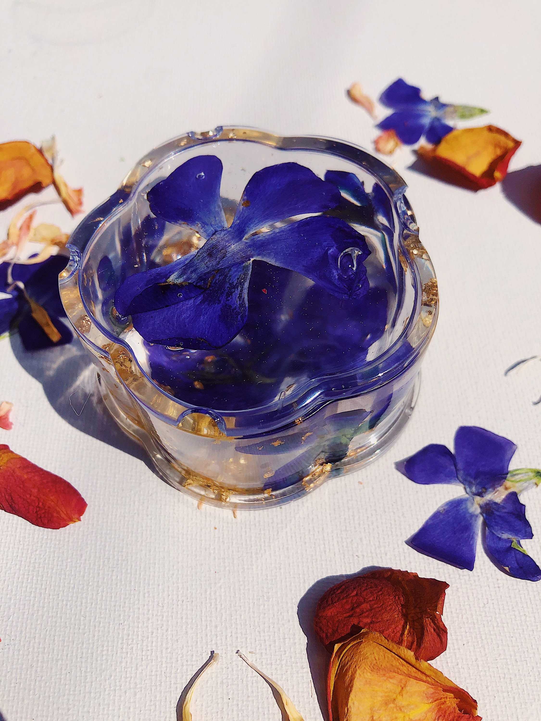 Flores de víbora púrpura y caja de joyería de círculo de pan | Etsy