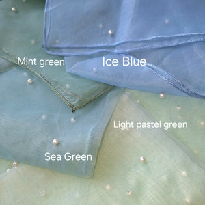 Pearl dupatta embellished beaded beads pearls organza shawl indian Punjabi Chunni veil pastel mint green colour beige cream light blue pink