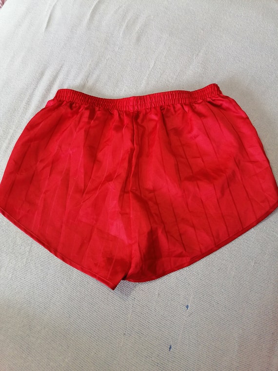 ADIDAS Shorts Vintage Shiny Nylon Striped Red Sat… - image 9