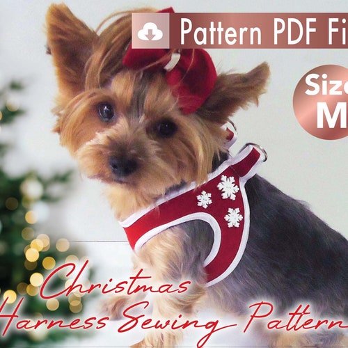 What Size Is My Dog In Clothes