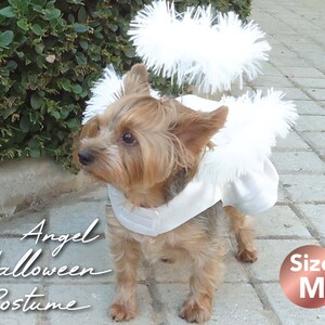 Puede incluir: Un perro peque&ntilde;o con un disfraz de &aacute;ngel blanco con un halo y un atuendo a juego. El disfraz tiene una textura esponjosa y est&aacute; dise&ntilde;ado para Halloween. El texto de la imagen dice "Angel Halloween Costume" y "Size M".