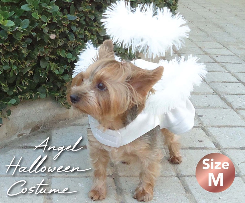 Puede incluir: Un perro peque&ntilde;o con un disfraz de &aacute;ngel blanco con un halo y un atuendo a juego. El disfraz tiene una textura esponjosa y est&aacute; dise&ntilde;ado para Halloween. El texto de la imagen dice "Angel Halloween Costume" y "Size M".