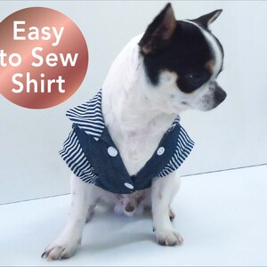 May include: A small, white and black chihuahua dog wearing a blue and white striped denim shirt. The shirt has white buttons and a collar. The dog is sitting on a white surface. The text "Easy to Sew Shirt" is in a circle above the dog.