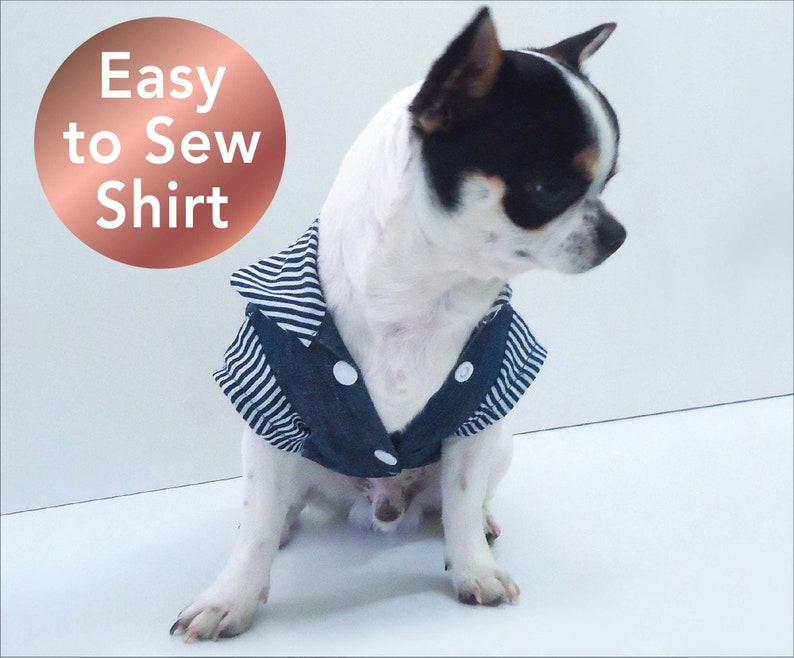 May include: A small, white and black chihuahua dog wearing a blue and white striped denim shirt. The shirt has white buttons and a collar. The dog is sitting on a white surface. The text "Easy to Sew Shirt" is in a circle above the dog.