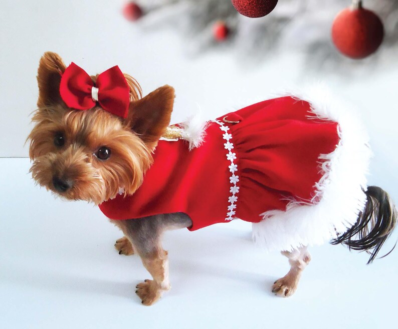 Patroon kerstjurk voor honden, kleding voor huisdieren (pdf-patroon), maat Medium afbeelding 4