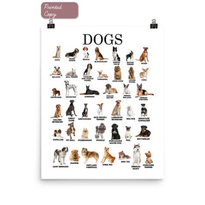 Druck | Hunde Poster mit konkreten Beispielen | Montessori