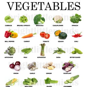Instant Download Printable Vegetables Educational Posters Montessori ...