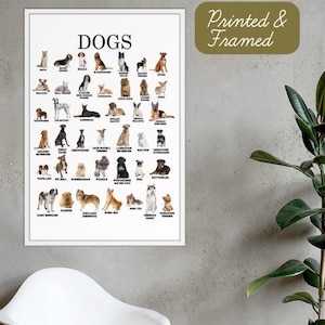 Imprimé et encadré Affiche de races de chiens (fr) Montessori