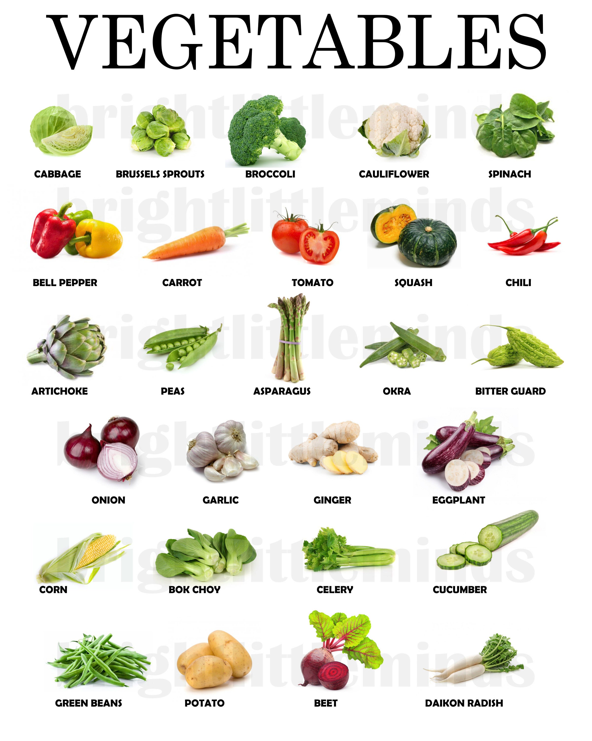 Instant Download Printable Vegetables Educational Posters Montessori Waldorf Teaching - Etsy