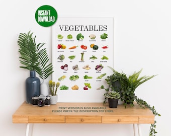 Instant Download | Printable Vegetables Educational Posters | Montessori | Waldorf Teaching