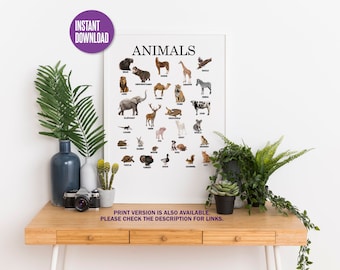 Instant Download | Printable Animals Educational Poster | Montessori | Waldorf Teaching