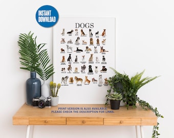 Instant Download | Printable Popular Dog Breeds  | Montessori | Waldorf Teaching | Vet Gift Ideas | Veterinarian | Dog Sitter