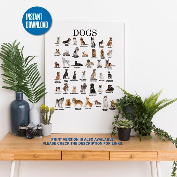 Instant Download | Printable Popular Dog Breeds  | Montessori | Waldorf Teaching | Vet Gift Ideas | Veterinarian | Dog Sitter