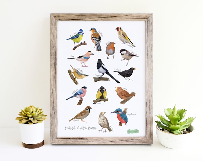 British Garden Bird Art Print, Bird Lover Gift, Bird Illustration, Garden Bird Artwork, Gifts for Bird Watchers, British Bird Identification