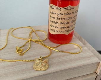 Scaredy Cat Amulet and Potion