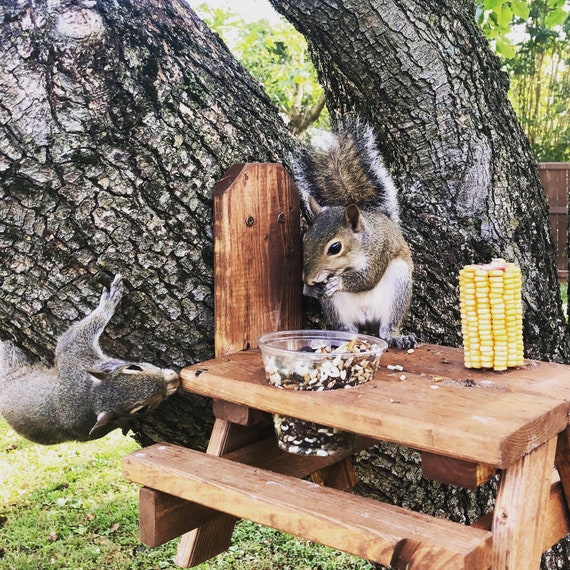 Picnic Table for Squirrels Wildlife feeder Etsy