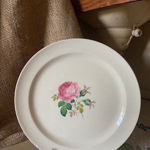 Vintage Taylor Smith Taylor Plate Early-Mid Century