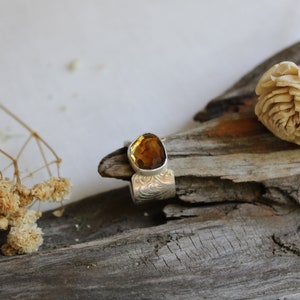 May include: A silver ring with an amber gemstone set in a textured band. The ring is displayed on a piece of driftwood with dried flowers.