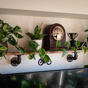 Wood shelf with black iron pipe supports