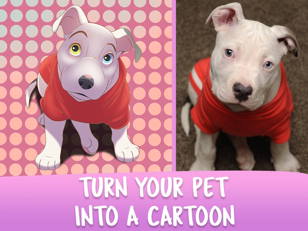 Transform Your Pet into an Adorable Cartoon Artwork - Custom