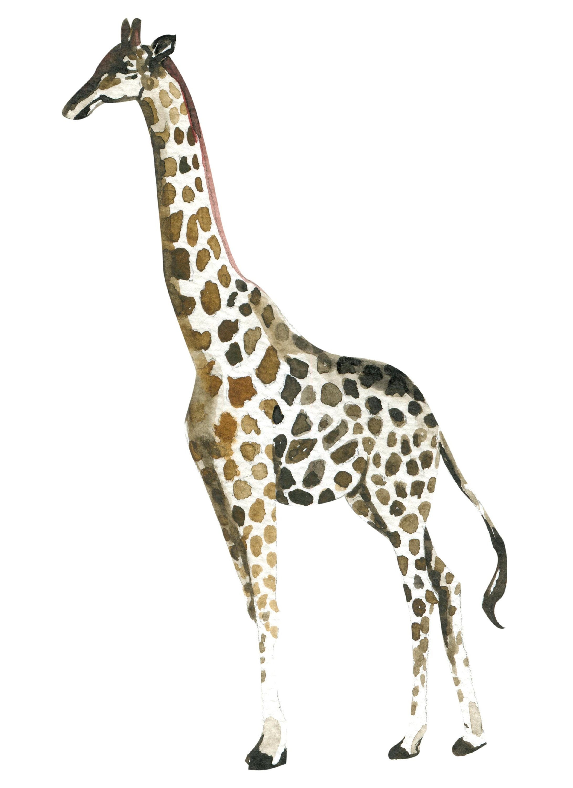Giraffe printable safari animal print nursery decor | Etsy
