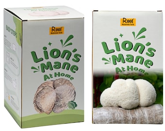 Two Lion&#39;s Mane Grow Kits( 3.2 pound each)