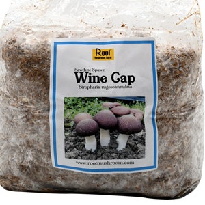 Wine Cap Sawdust Spawn-5.5pounds