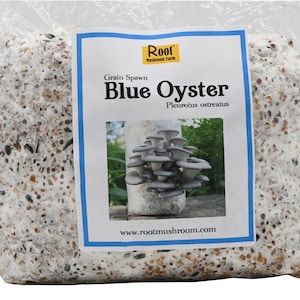 May include: A white bag with a blue label that says "Grain Spawn Blue Oyster Pleurotus ostreatus" and a picture of blue oyster mushrooms growing on a log. The label also says "www.rootmushroom.com".